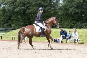 Bild 497 - Pony Akademie Turnier
